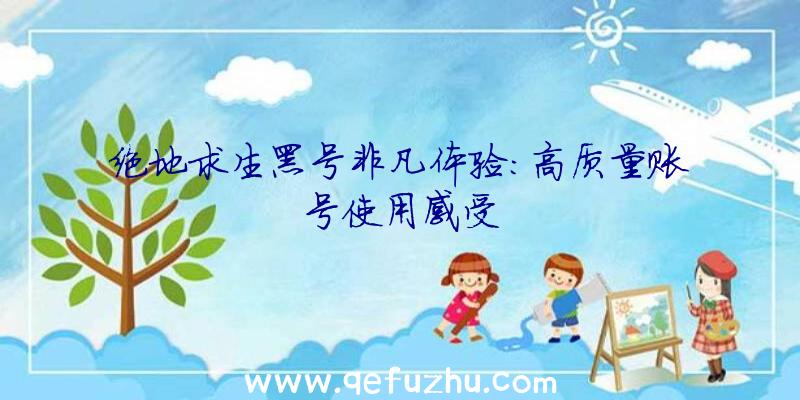 绝地求生黑号非凡体验：高质量账号使用感受