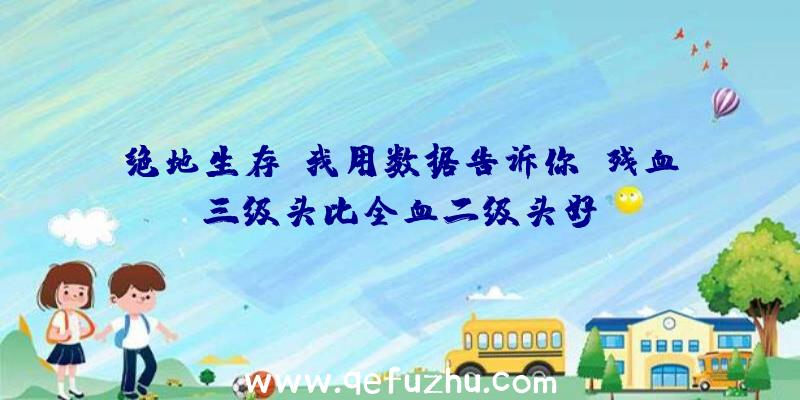 绝地生存:我用数据告诉你,残血三级头比全血二级头好？