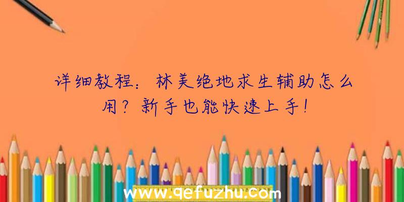详细教程：林美绝地求生辅助怎么用？新手也能快速上手！
