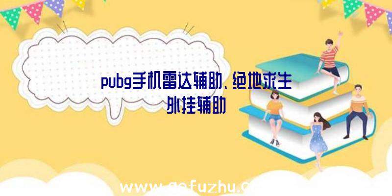 pubg手机雷达辅助、绝地求生外挂辅助
