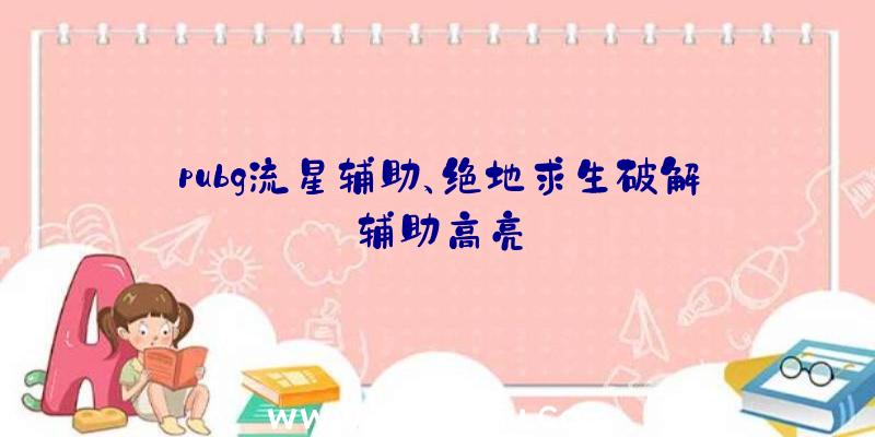pubg流星辅助、绝地求生破解辅助高亮